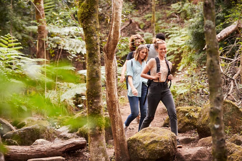 Forest Bathing — Shinrin-yoku